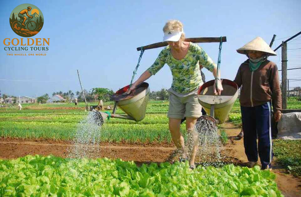 4-Day Hoi An Cycling Tour: UNESCO Heritage, Coastal Trails & Countryside Discovery